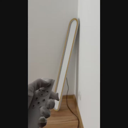 LumosAura | Sleek Modern Oblong LED Ceiling Light Fixture